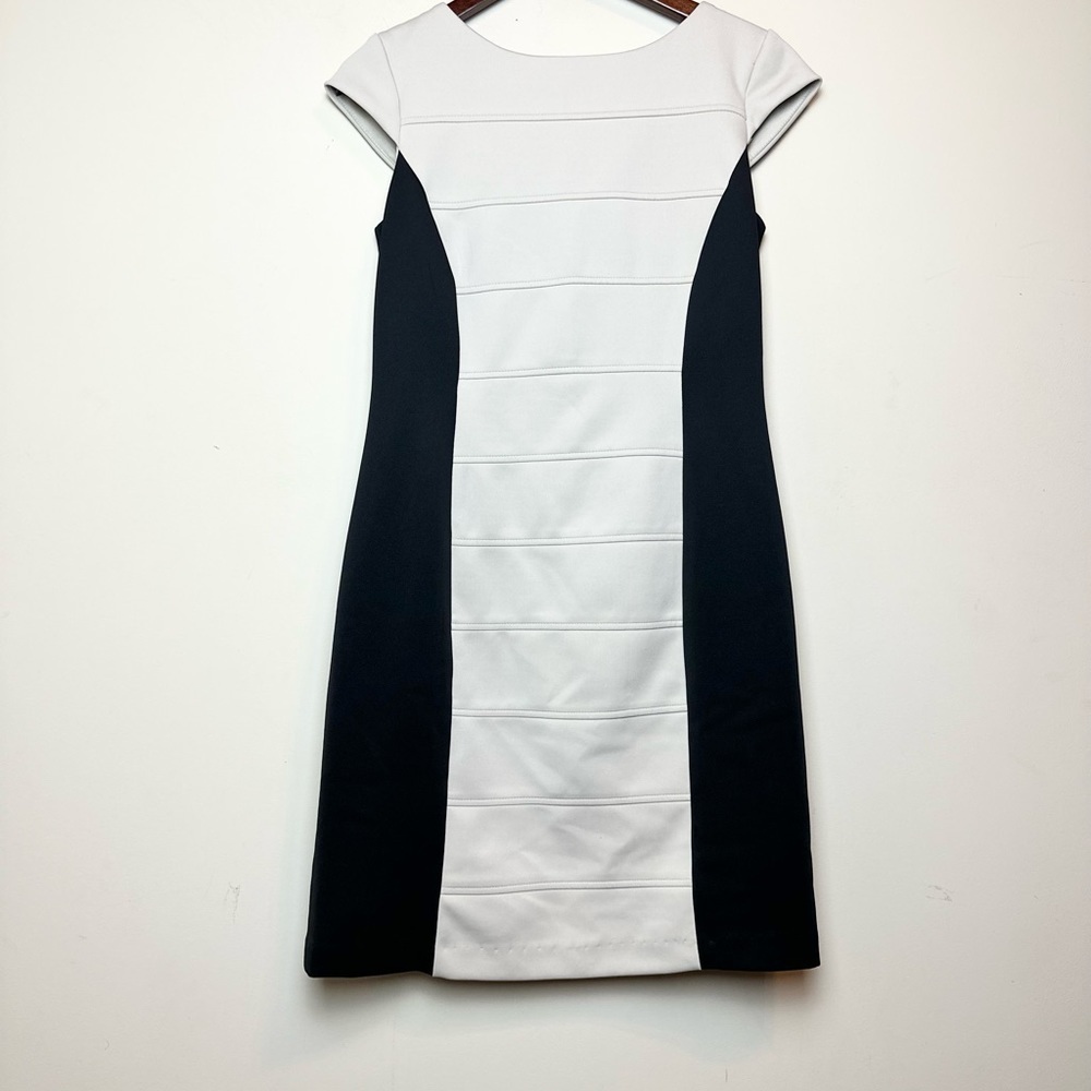 SANDRA DARREN Black & Crème Casual Sheath Dress